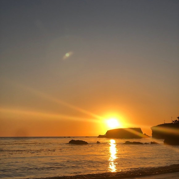 Meet your Posher, Tahnee - Picture 1 of 1